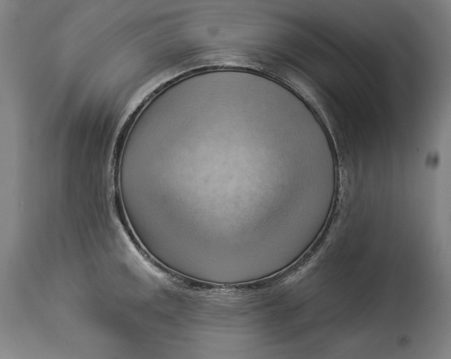 X0000114531141200911091105