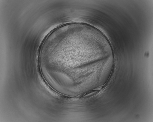 X0000114531142200911091105