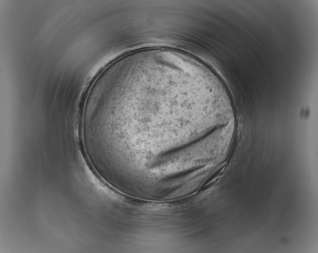 X0000114531143200911091105
