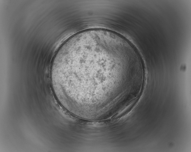 X0000114531145200911091105
