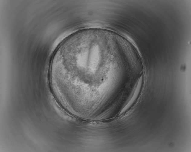 X0000114531146200911091105