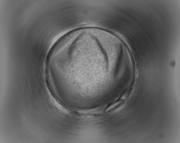 X0000114531149200911091105