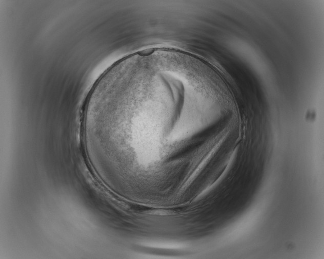 X0000114531151200911091105