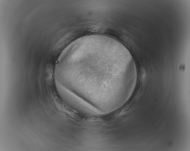 X0000114531154200911091104