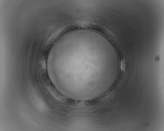 X0000114531155200911091104