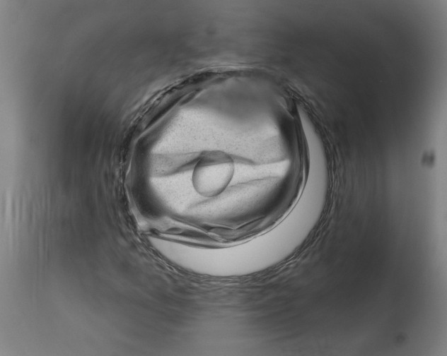 X0000114531157200911091104