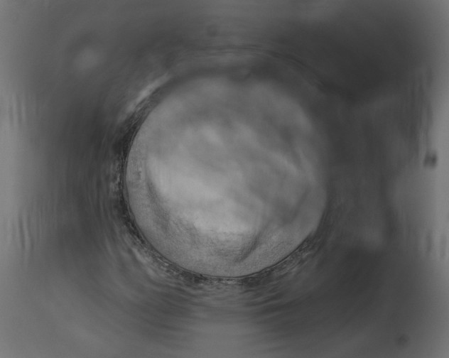 X0000114531158200911091104