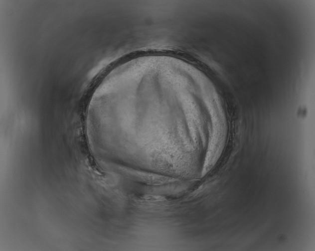 X0000114531160200911091104
