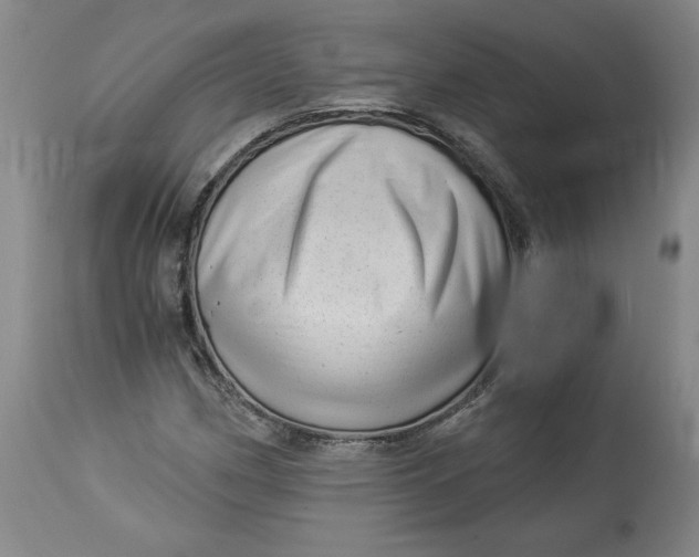 X0000114531162200911091104