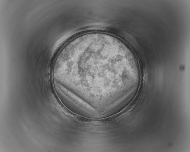 X0000114531164200911091104