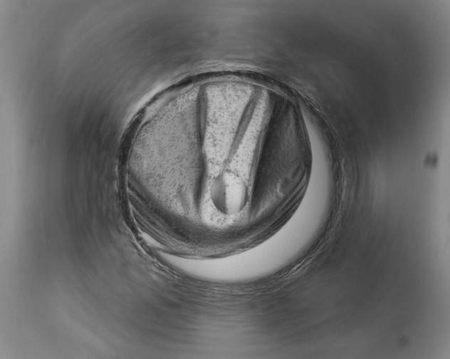 X0000114531165200911091104