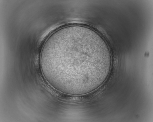 X0000114531167200911091104