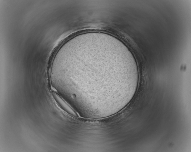 X0000114531168200911091104