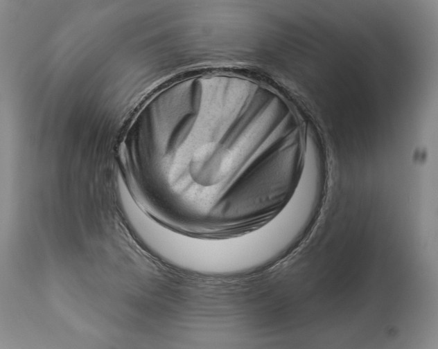 X0000114531169200911091104