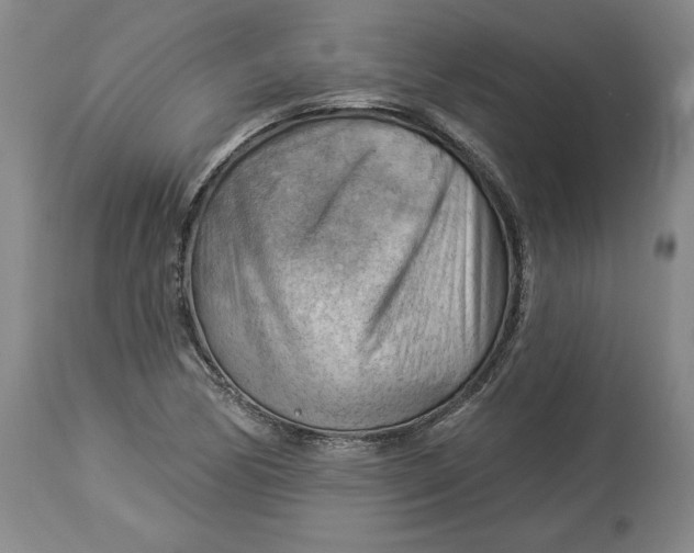 X0000114531170200911091104
