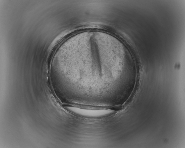 X0000114531172200911091104