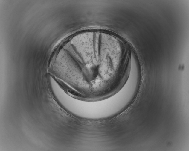 X0000114531173200911091104