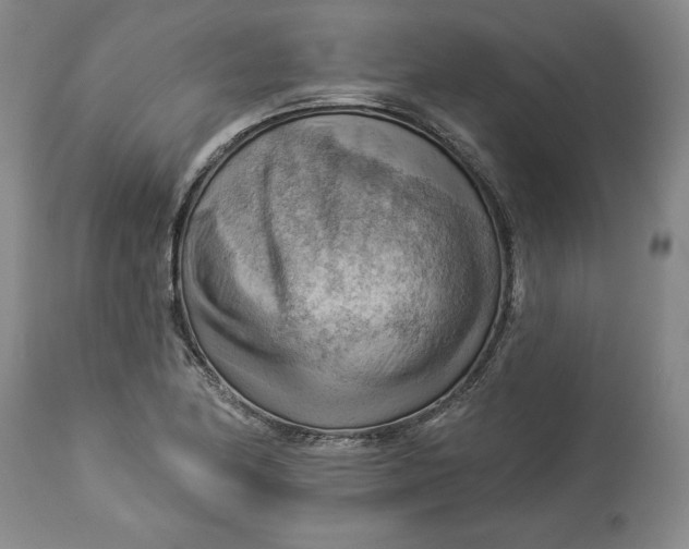X0000114531174200911091104