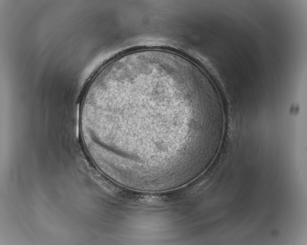 X0000114531175200911091104