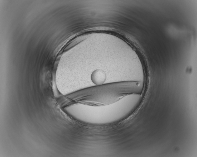 X0000114531177200911091104