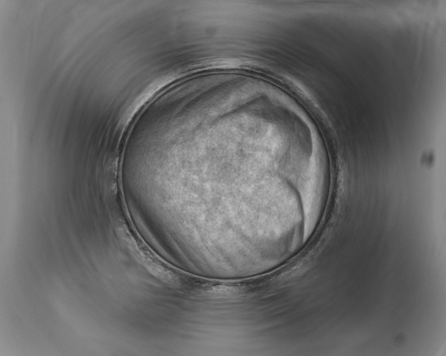 X0000114531178200911091104