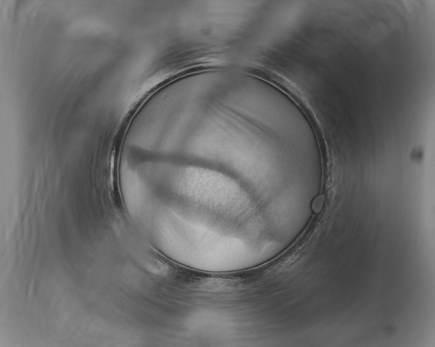 X0000114531179200911091104