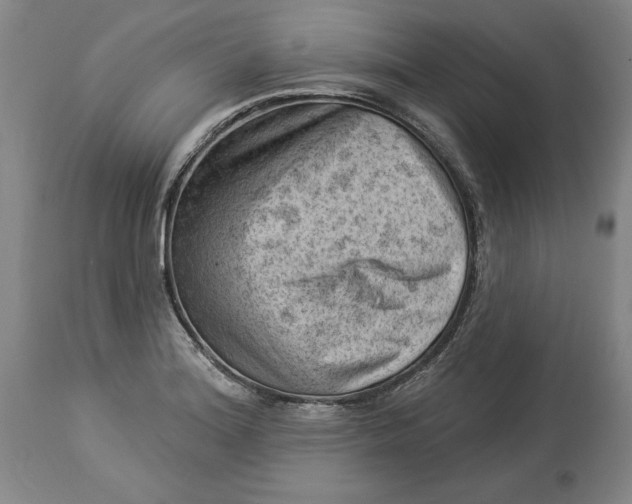 X0000114531180200911091104
