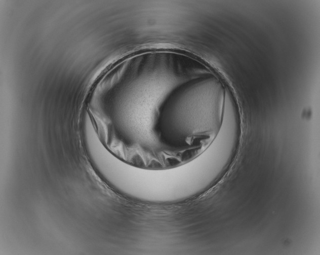 X0000114531181200911091104