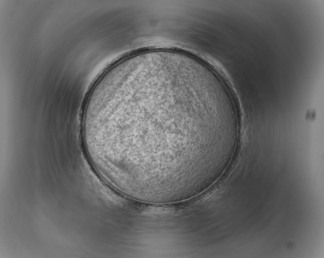 X0000114531183200911091104