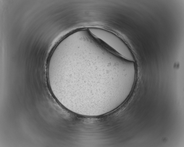 X0000114531184200911091104