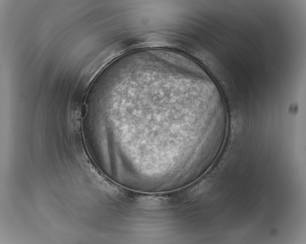 X0000114531185200911091104