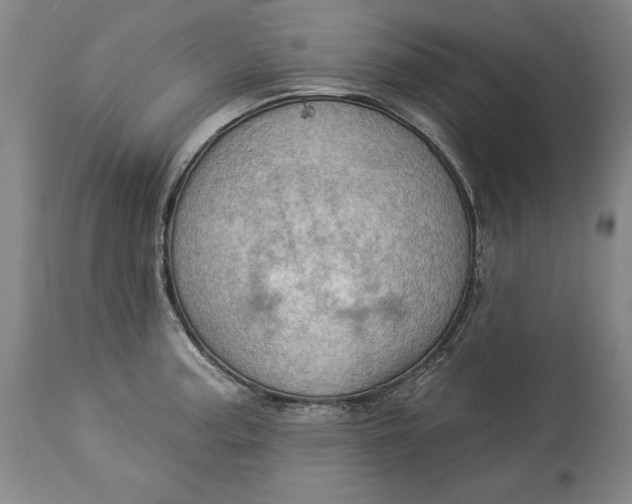 X0000114531187200911091104