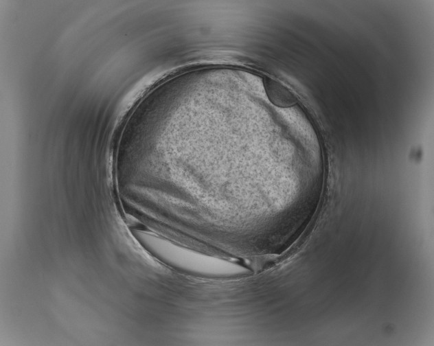 X0000114531188200911091104