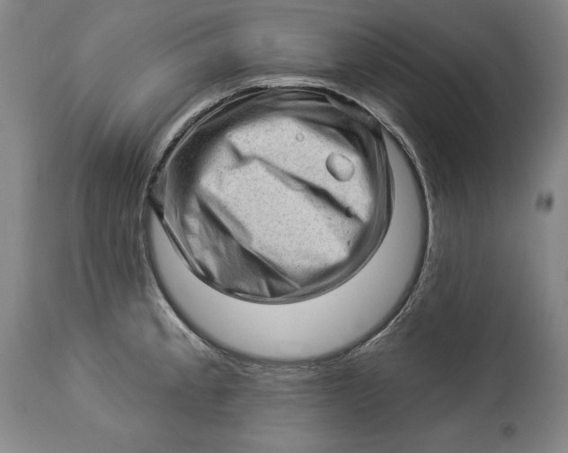 X0000114531189200911091104