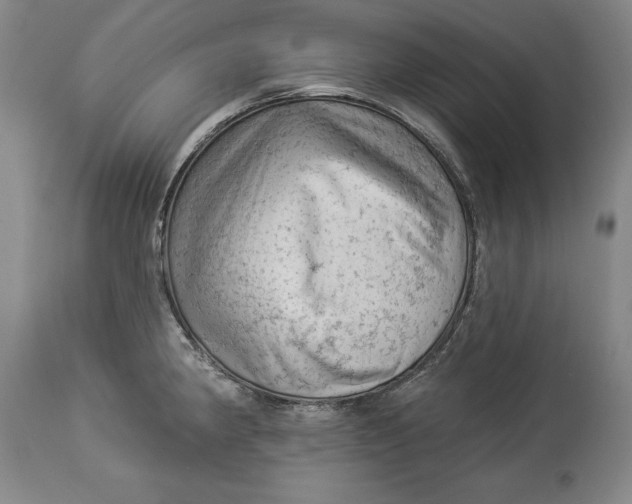 X0000114531190200911091104