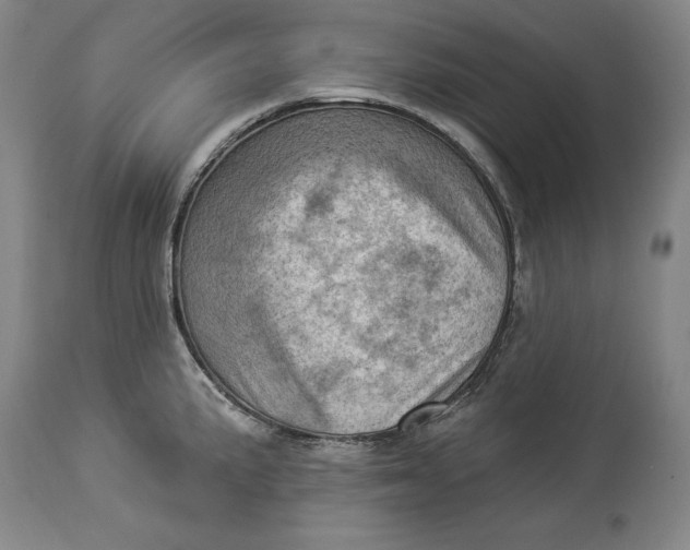 X0000114531191200911091104