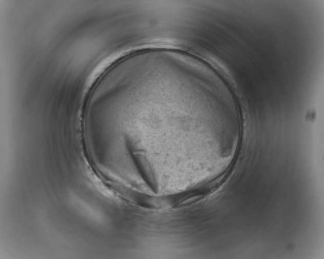 X0000114531192200911091104
