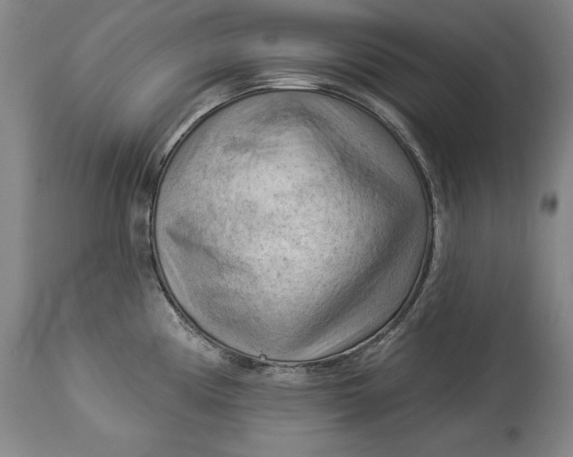 X0000114531194200911091104