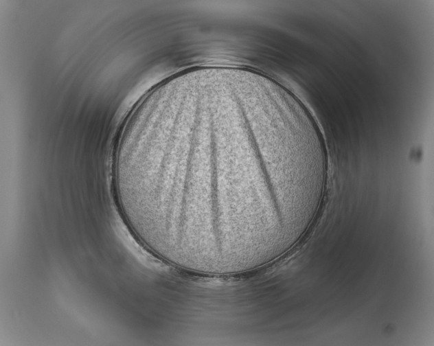 X0000114531195200911091104