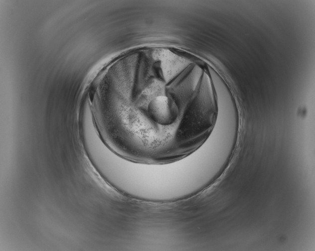 X0000114531196200911091104