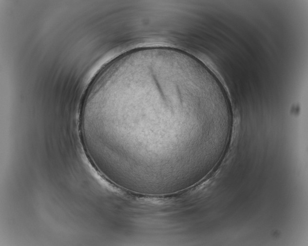 X0000114531197200911091104