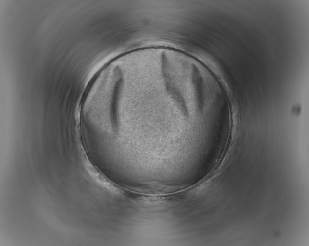 X0000114531198200911091104