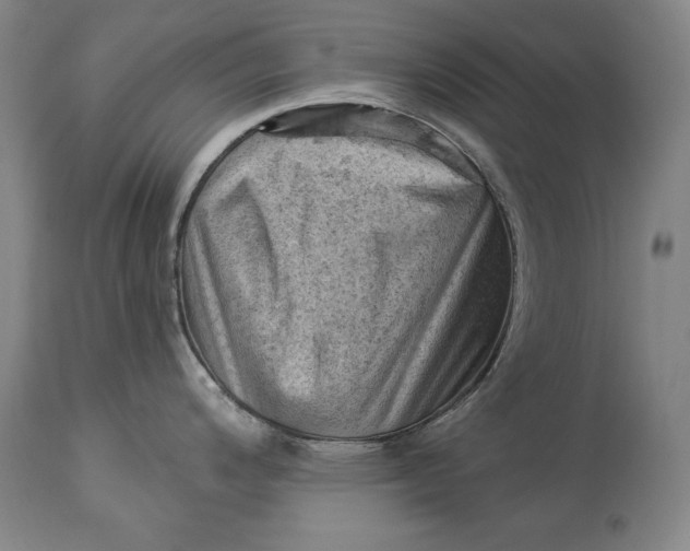 X0000114531200200911091104