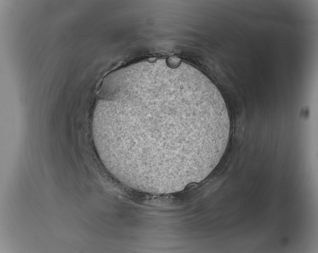 X0000114531201200911091103