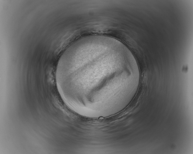 X0000114531202200911091103