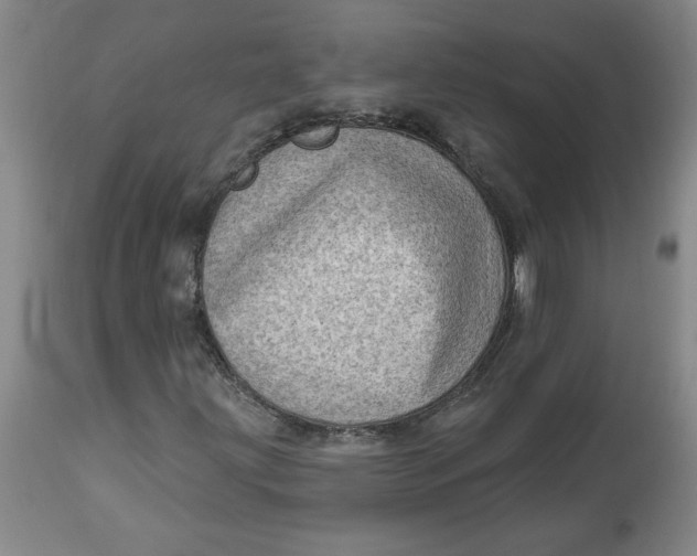 X0000114531203200911091103