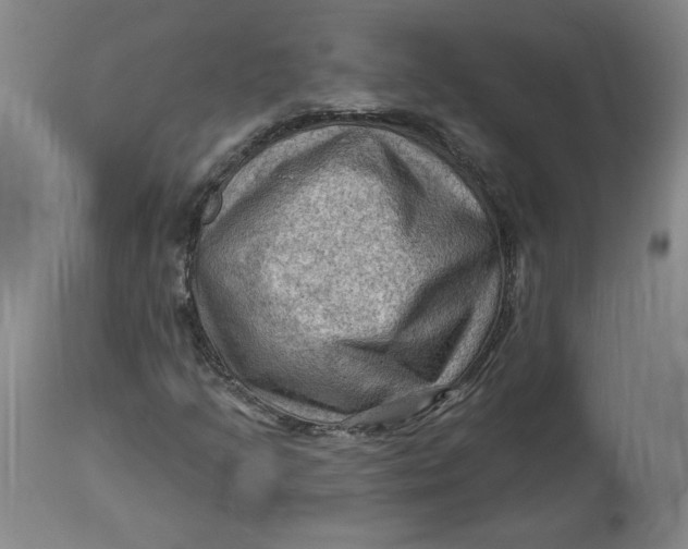 X0000114531205200911091103