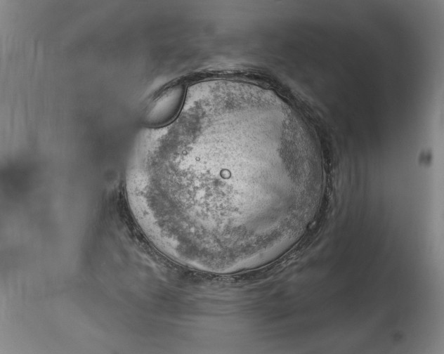 X0000114531206200911091103