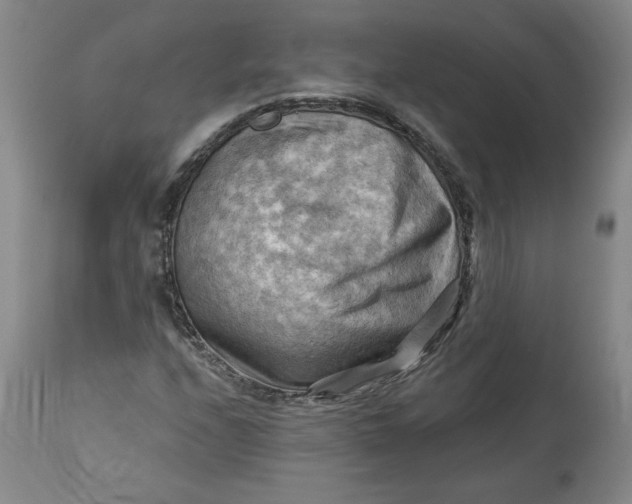 X0000114531208200911091103