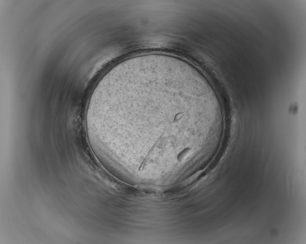 X0000114531210200911091103